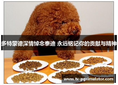 多特蒙德深情悼念泰迪 永远铭记你的贡献与精神