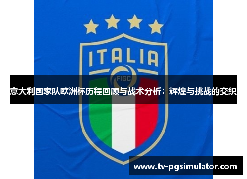 意大利国家队欧洲杯历程回顾与战术分析：辉煌与挑战的交织