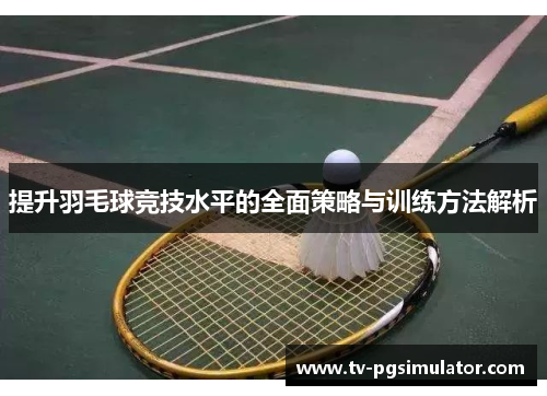 提升羽毛球竞技水平的全面策略与训练方法解析
