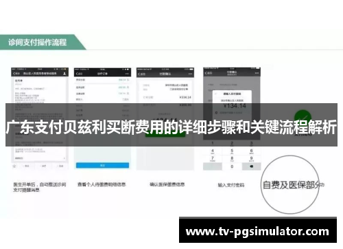 广东支付贝兹利买断费用的详细步骤和关键流程解析