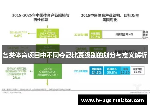 各类体育项目中不同夺冠比赛级别的划分与意义解析