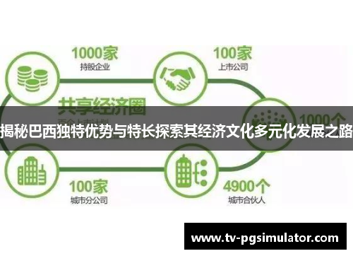 揭秘巴西独特优势与特长探索其经济文化多元化发展之路