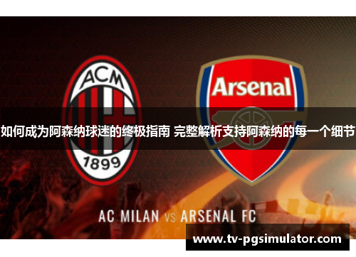 如何成为阿森纳球迷的终极指南 完整解析支持阿森纳的每一个细节 如何成为阿森纳球迷的终极指南 完整解析支持阿森纳的每一个细节