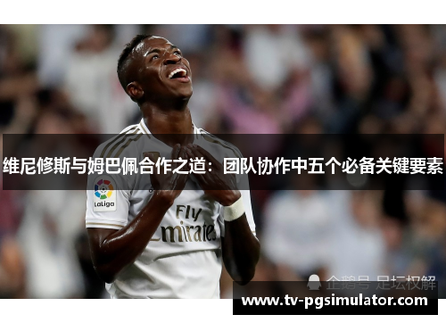 维尼修斯与姆巴佩合作之道：团队协作中五个必备关键要素