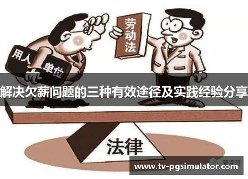 解决欠薪问题的三种有效途径及实践经验分享