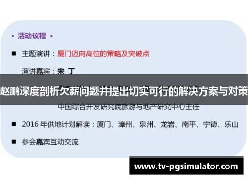 赵鹏深度剖析欠薪问题并提出切实可行的解决方案与对策