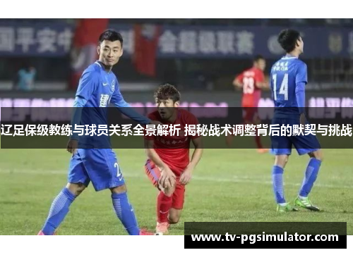 辽足保级教练与球员关系全景解析 揭秘战术调整背后的默契与挑战