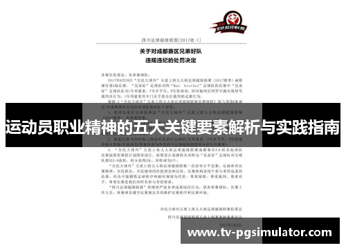 运动员职业精神的五大关键要素解析与实践指南