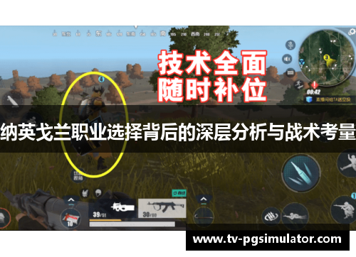 纳英戈兰职业选择背后的深层分析与战术考量