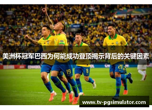 美洲杯冠军巴西为何能成功登顶揭示背后的关键因素