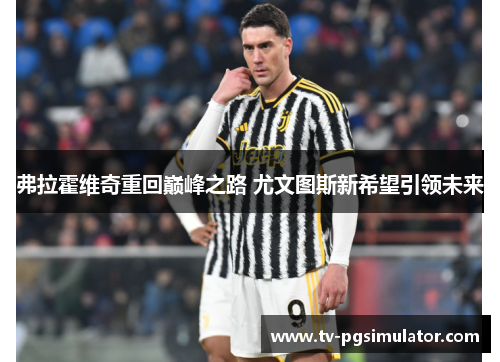 弗拉霍维奇重回巅峰之路 尤文图斯新希望引领未来 弗拉霍维奇重回巅峰之路 尤文图斯新希望引领未来