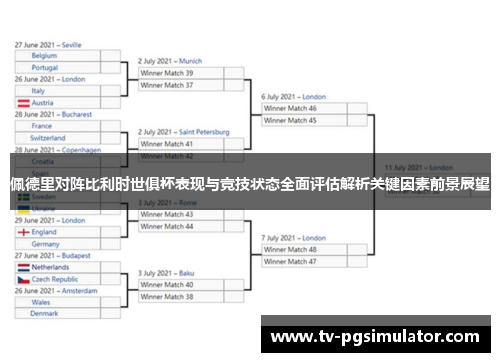 佩德里对阵比利时世俱杯表现与竞技状态全面评估解析关键因素前景展望 佩德里对阵比利时世俱杯表现与竞技状态全面评估解析关键因素前景展望