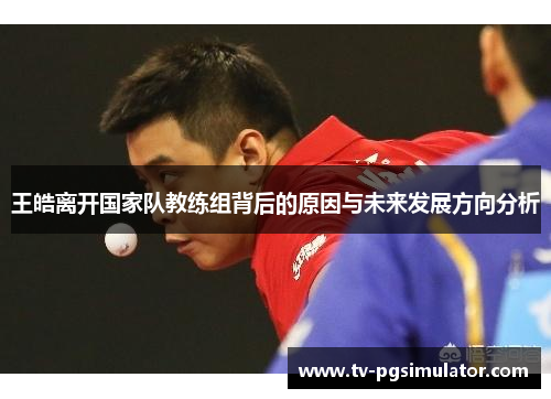 王皓离开国家队教练组背后的原因与未来发展方向分析