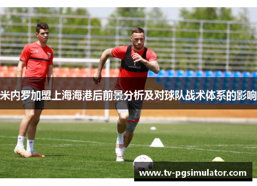 米内罗加盟上海海港后前景分析及对球队战术体系的影响